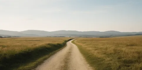 Nuovi percorsi, nuove opportunità